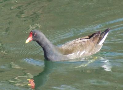 Прикрепленное изображение: 004a.jpg